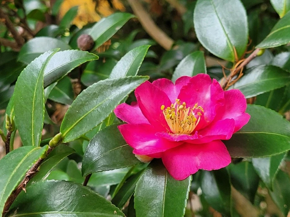 KakaoTalk_20211129_195951851_03.jpg?type=w1