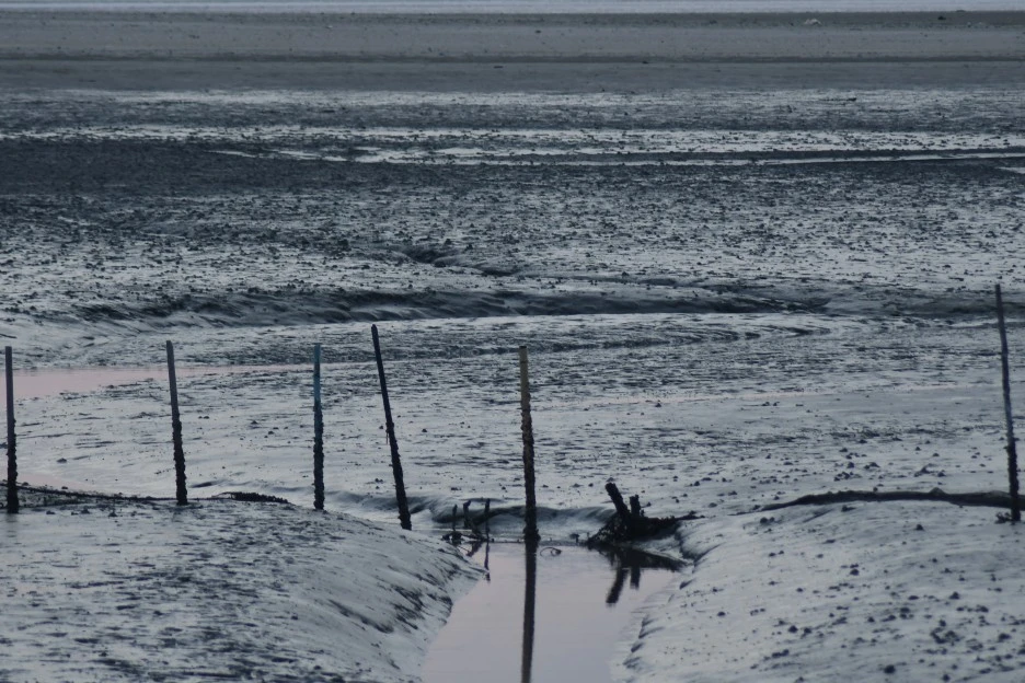 DSC_4231.JPG?type=w1