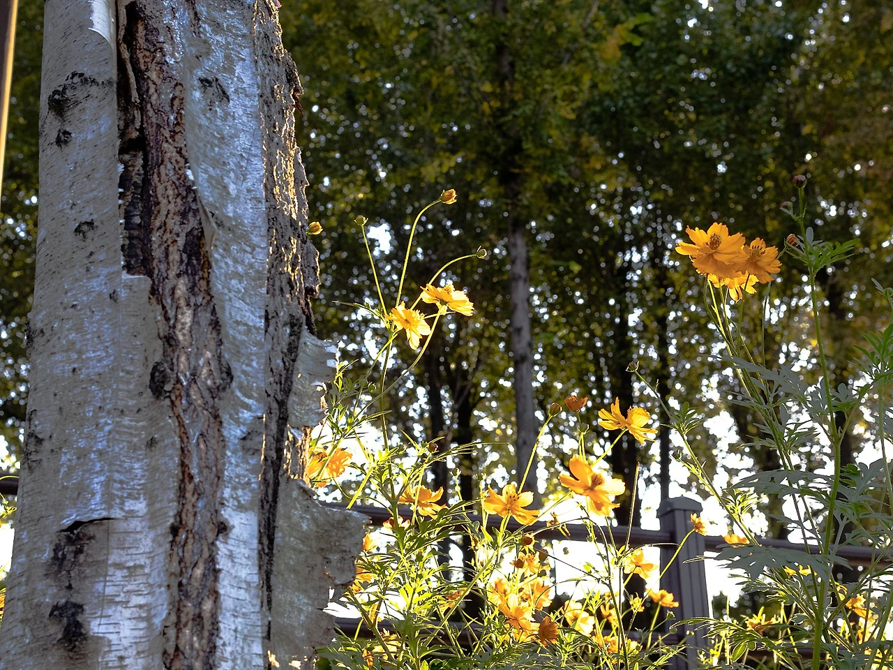 %EC%84%A0%EC%BA%904.jpg?type=w1600