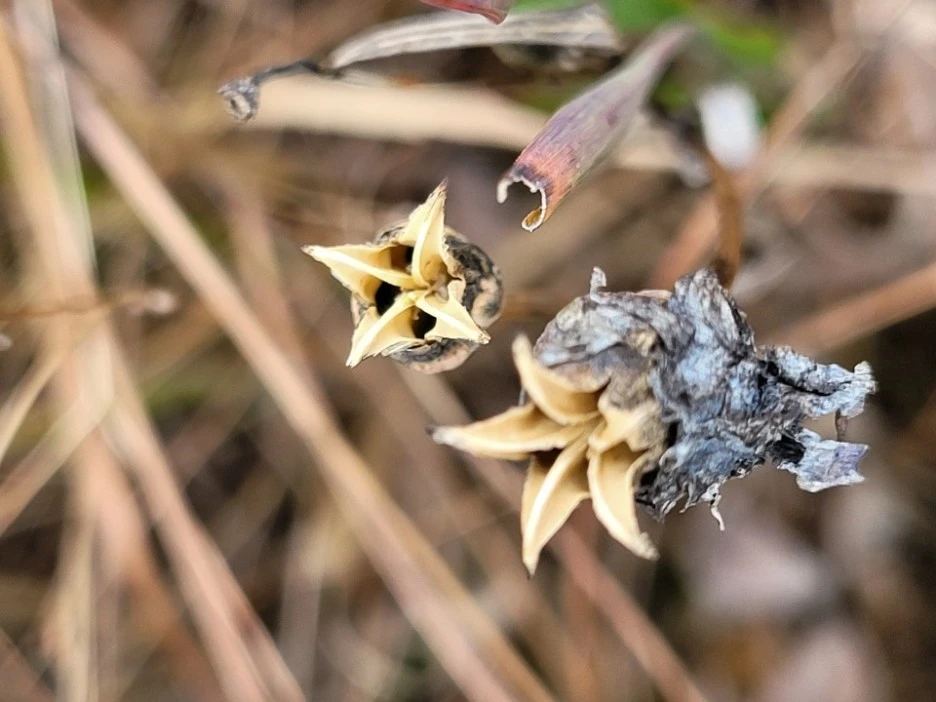 KakaoTalk_20211129_195951851_13.jpg?type=w1