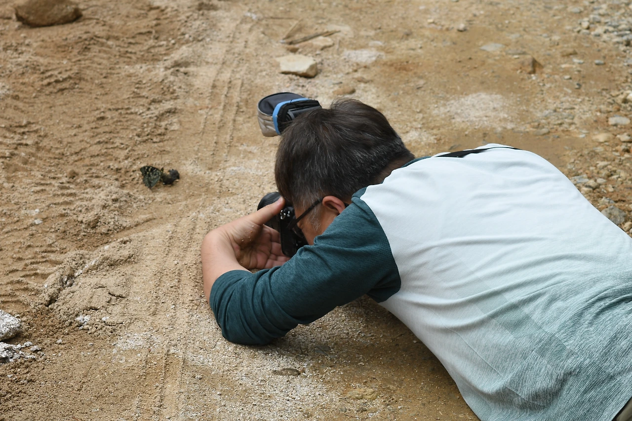 220620 가정리 왕오색나비 변 (12).JPG