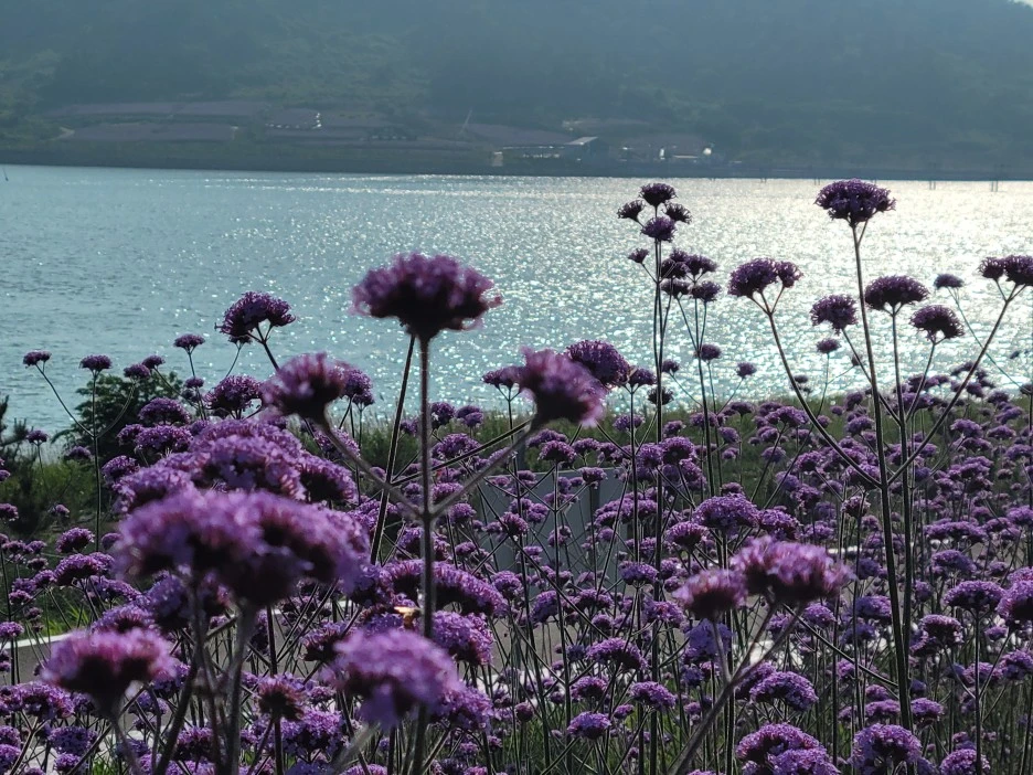 KakaoTalk_20220629_192010008_09.jpg?type=w1