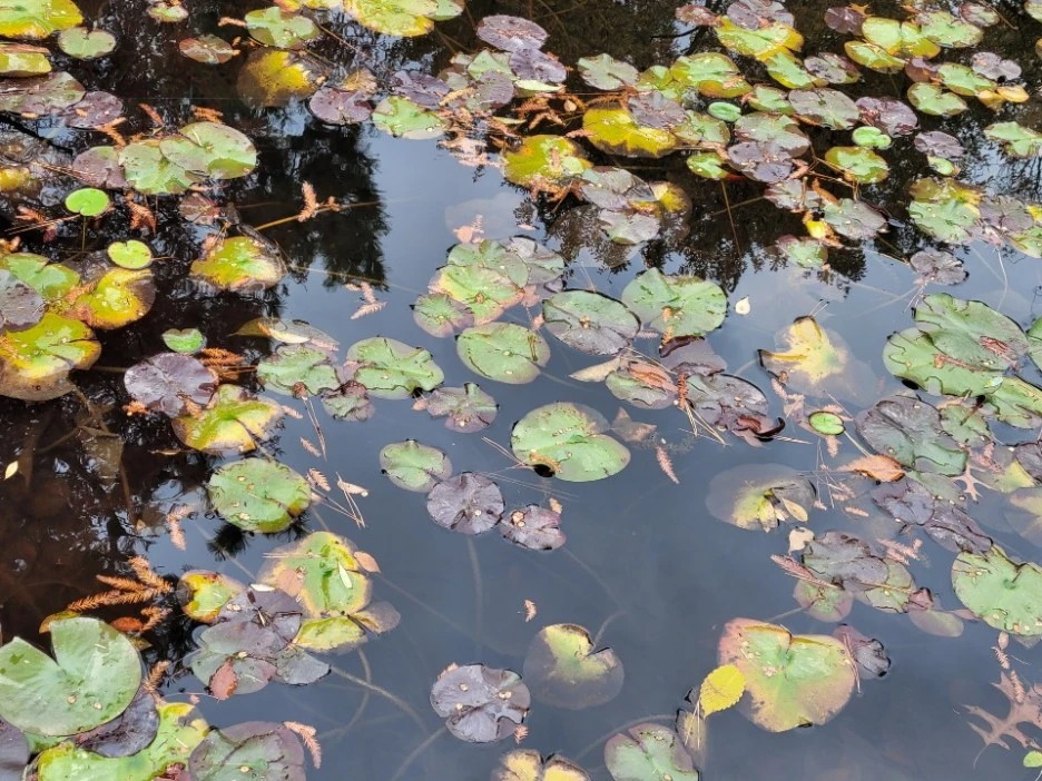 KakaoTalk_20211129_195951851_02.jpg?type=w1