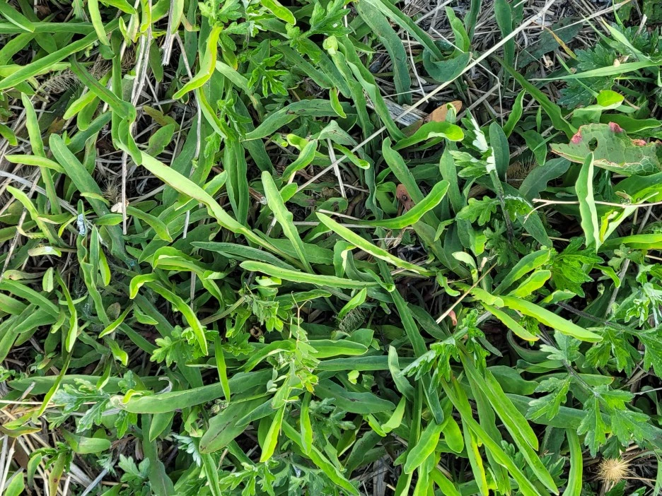 KakaoTalk_20220430_221249621_03.jpg?type=w1