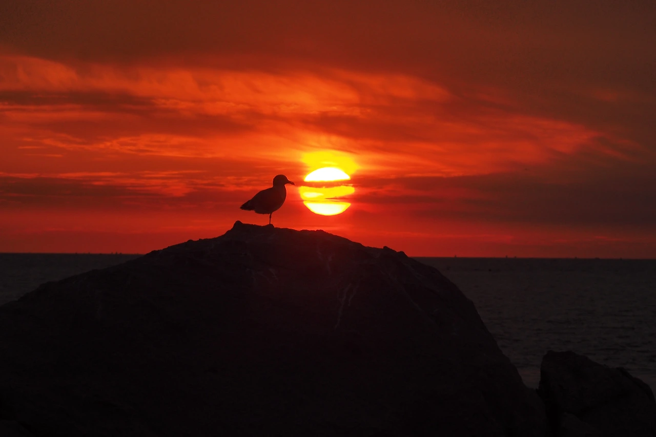 20240315_002_후보정이 필요없이 찍은 예.JPG