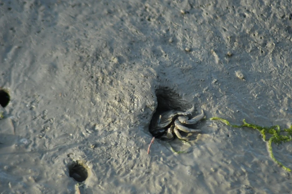 DSC_4226.JPG?type=w1