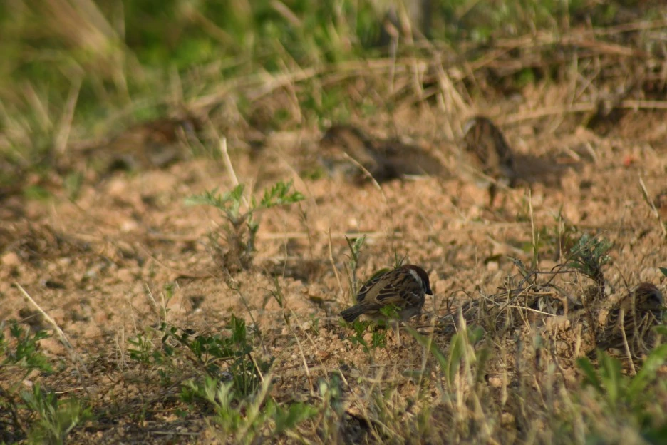 DSC_4216.JPG?type=w1