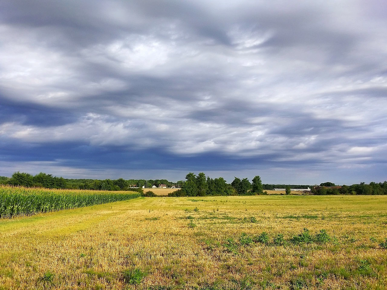 KakaoTalk_20230520_233242365.jpg?type=w1600