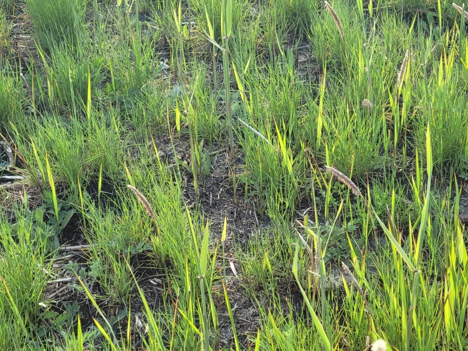 KakaoTalk_20220430_221249621_04.jpg?type=w1