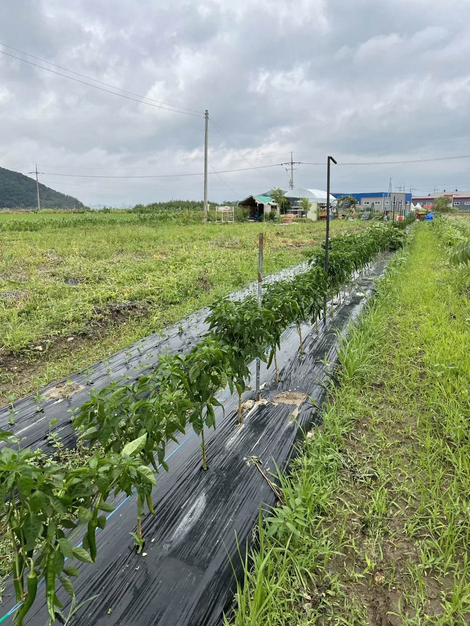 IMG_8421.jpeg?type=w1