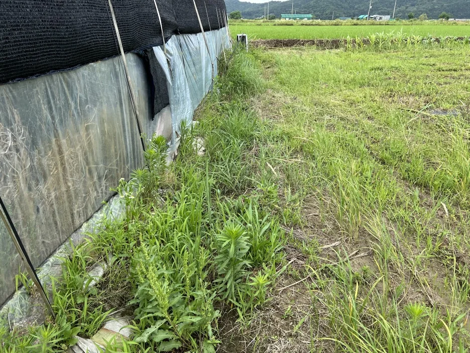 IMG_8423.jpeg?type=w1