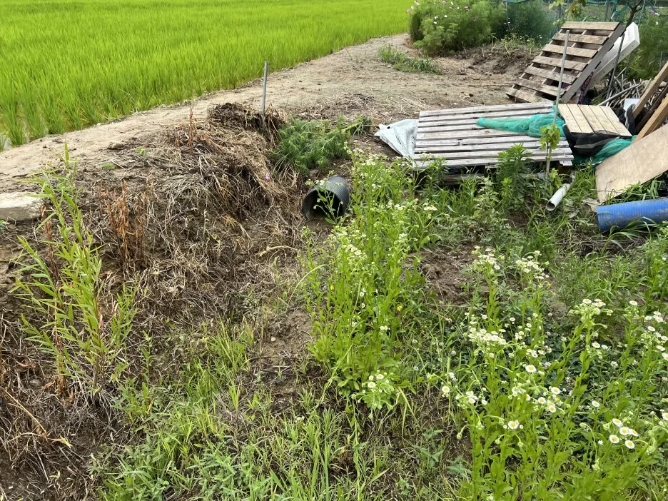 IMG_8422.jpeg?type=w1