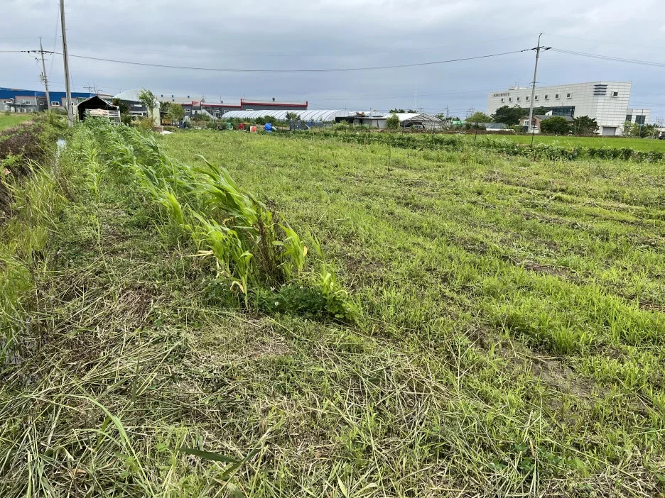 IMG_8424.jpeg?type=w1