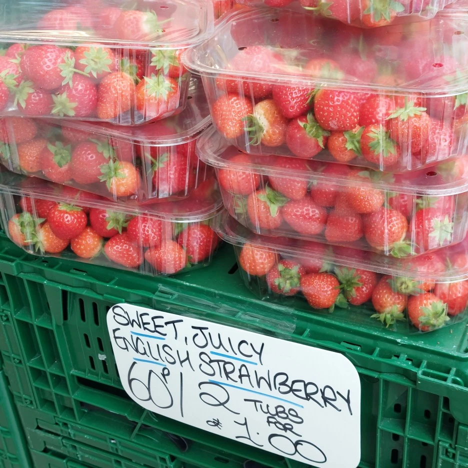 20230826_231921.jpg?type=w1