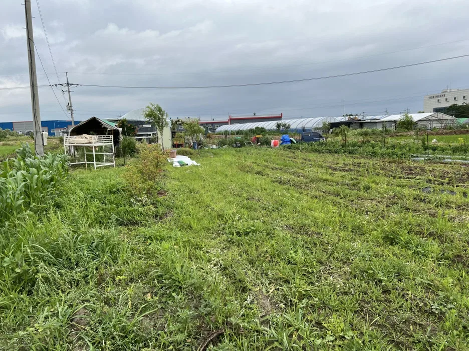 IMG_8425.jpeg?type=w1