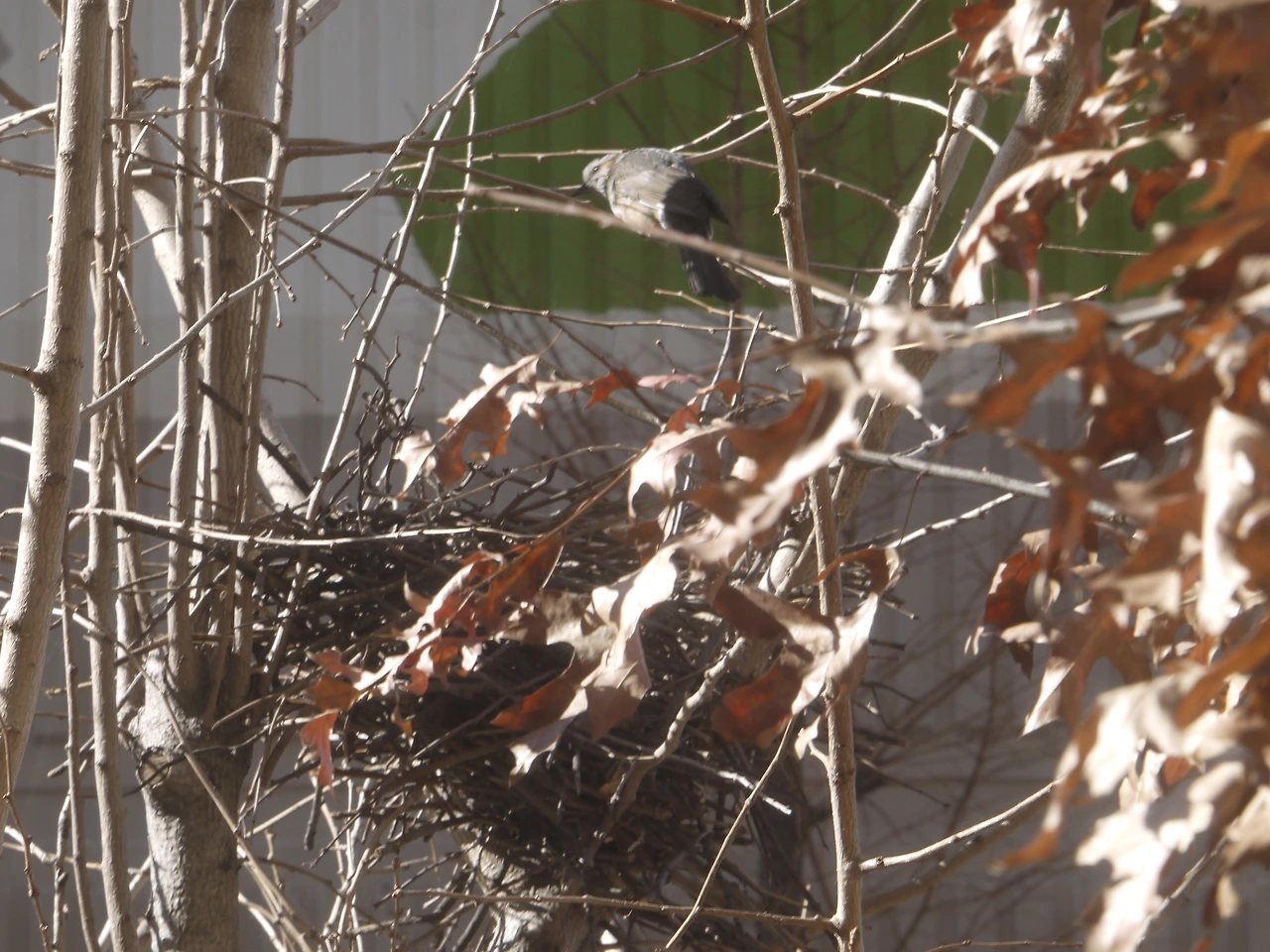 21.01.29 직박1.JPG
