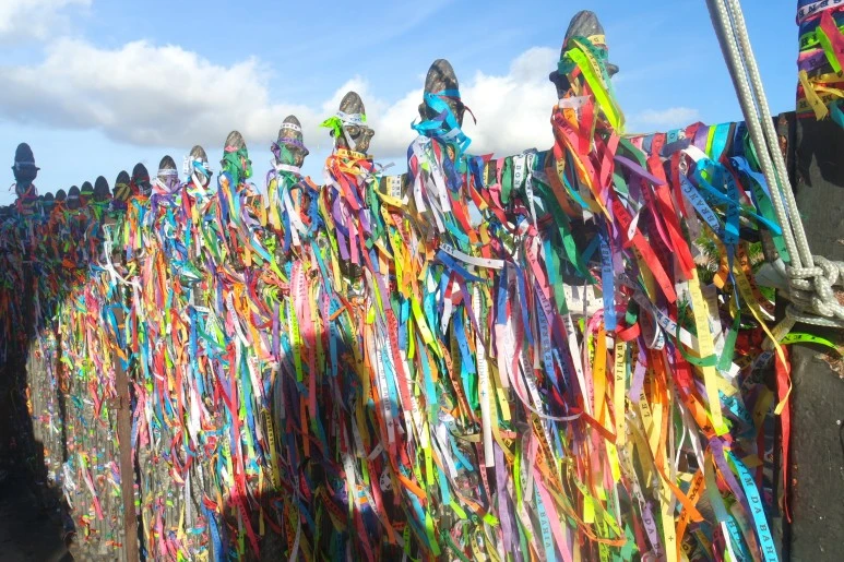 Salvador-2.JPG?type=w773