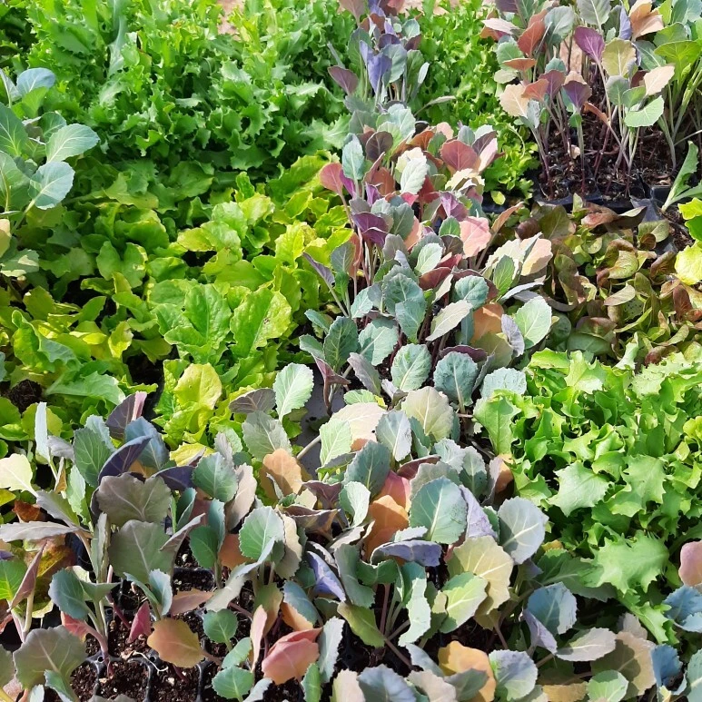 다운로드 (1).jpeg