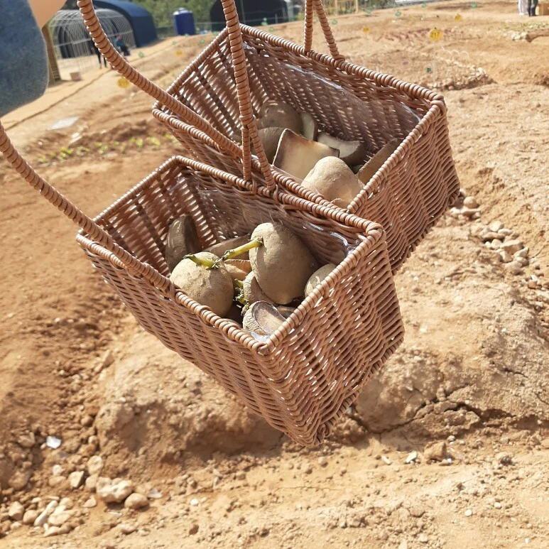 다운로드 (2).jpeg