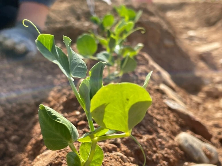 다운로드 (6).jpeg