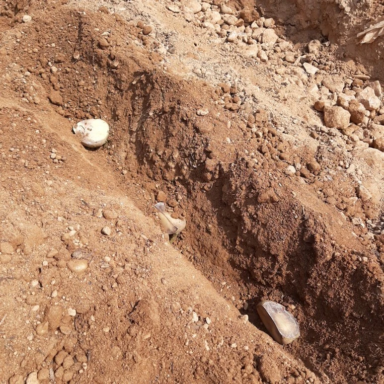 다운로드 (3).jpeg