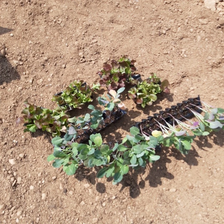 다운로드 (5).jpeg