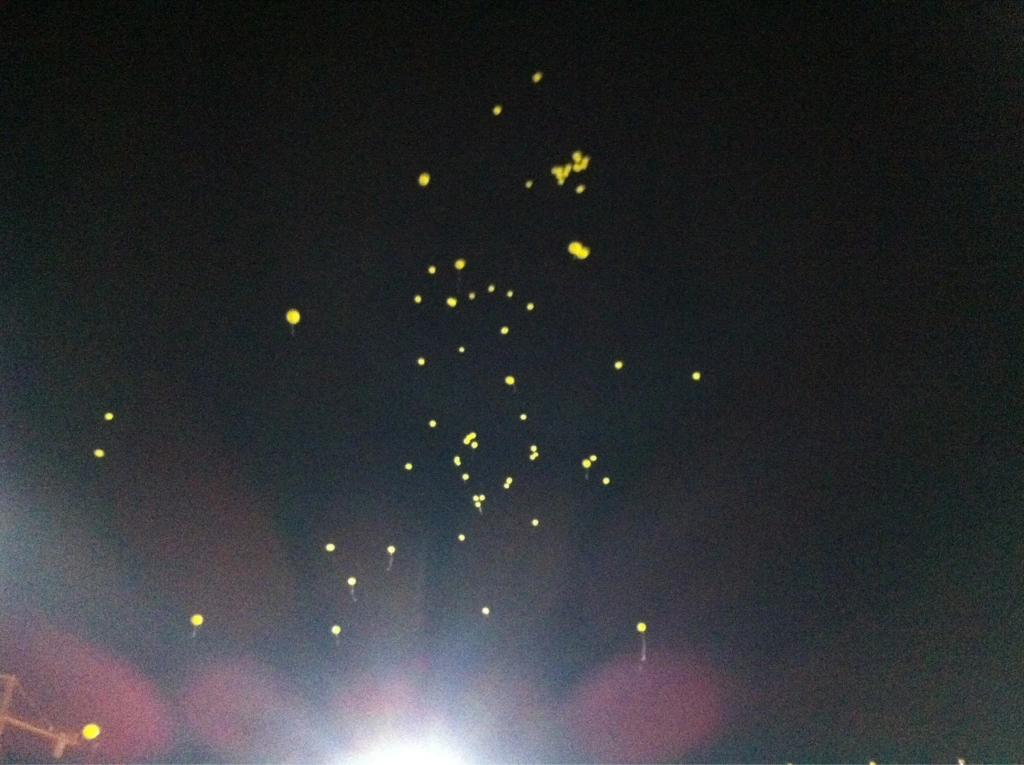 1565CD434FBD735F08.jfif