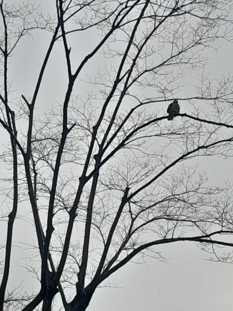 20231127%EF%BC%BF091303.jpg?type=w466