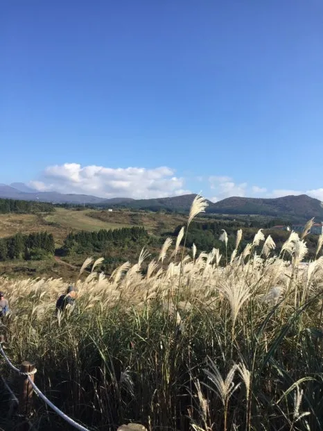 1731409402956.jpg?type=w466