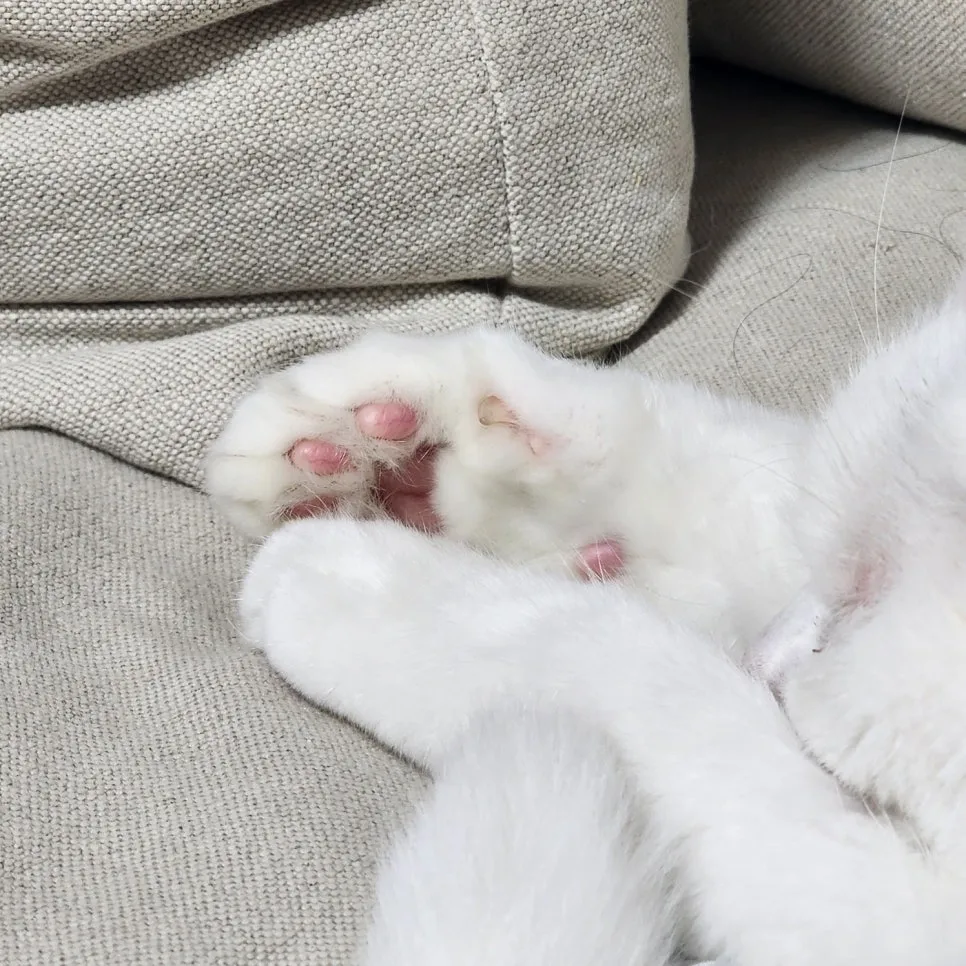 KakaoTalk_20240822_111757302_03.jpg?type=w966