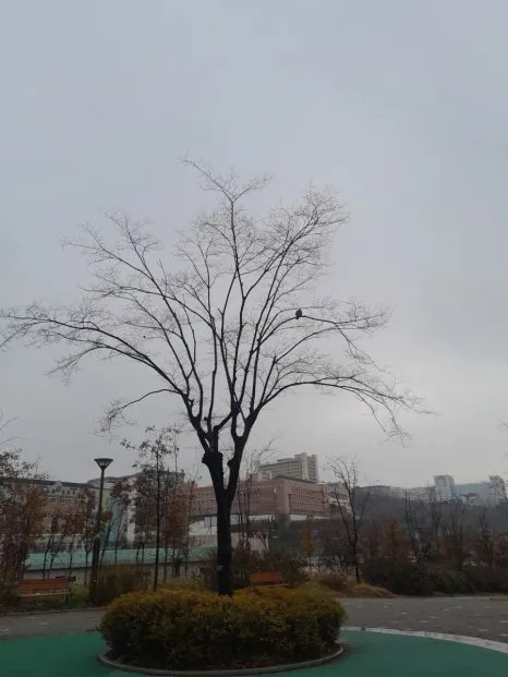 20231127%EF%BC%BF091258.jpg?type=w466