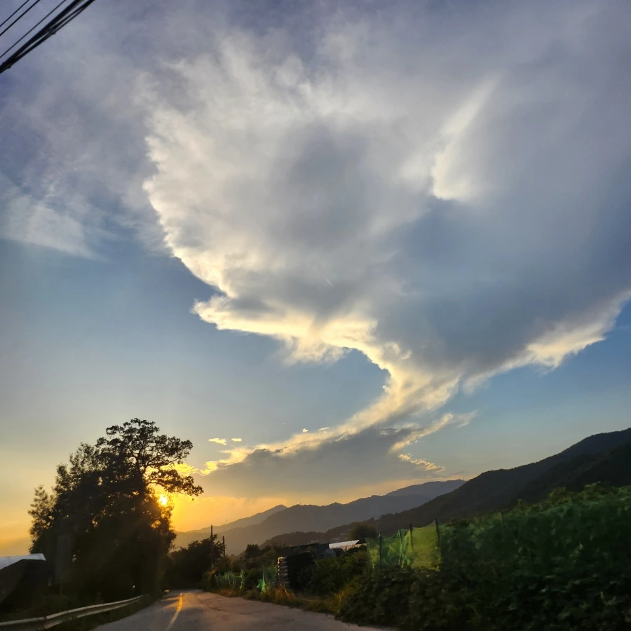 20240819%EF%BC%BF184617.jpg?type=w966