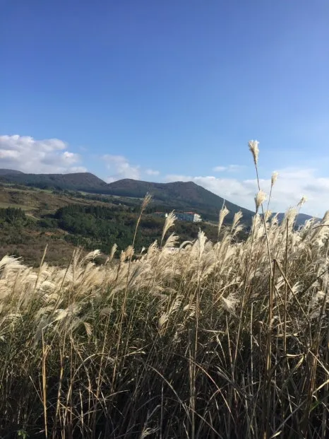 1731409405488.jpg?type=w466