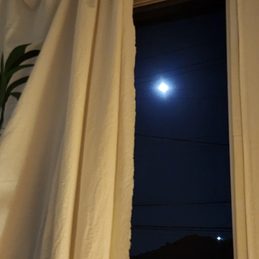 20240819%EF%BC%BF221621.jpg?type=w966