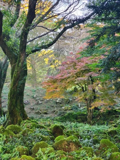 1731331737564.jpg?type=w466