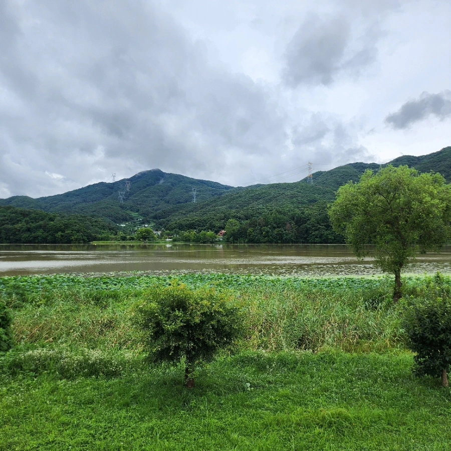 IMG%EF%BC%BF20240723%EF%BC%BF204616%EF%BC%BF931.jpg?type=w966