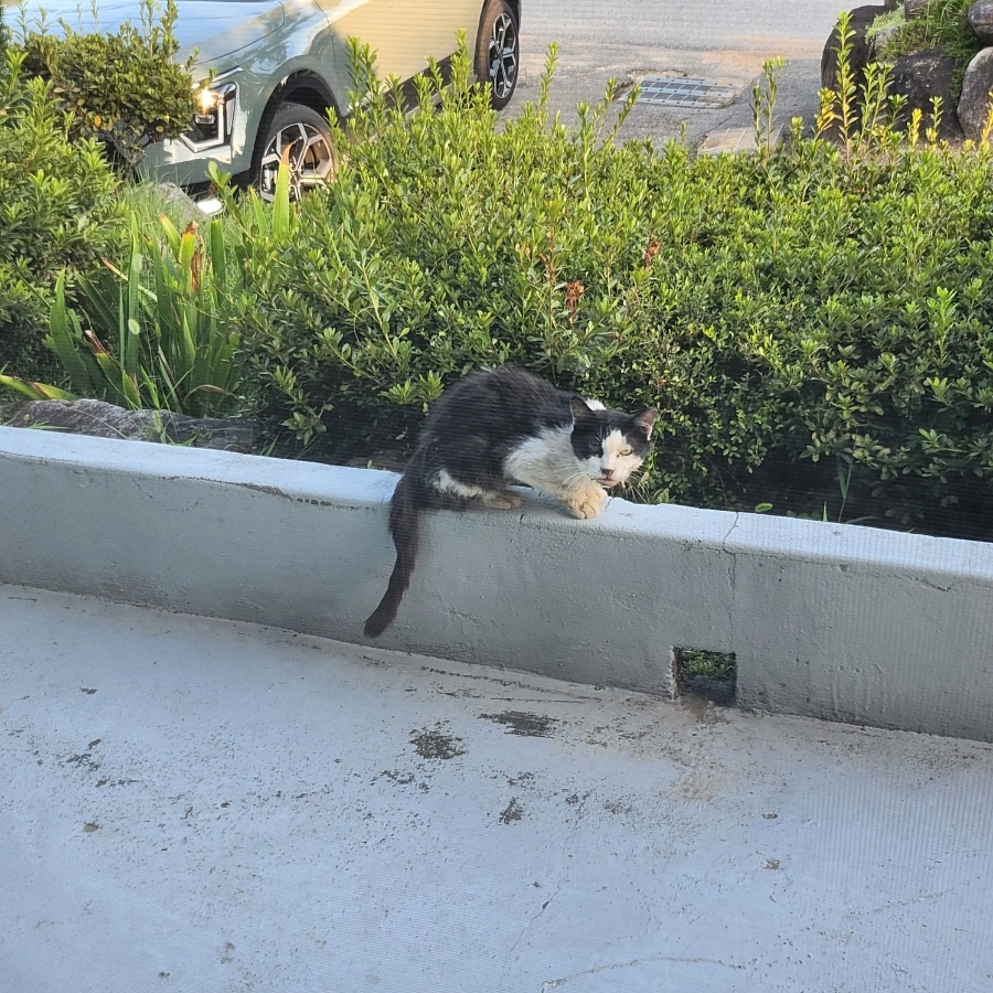 20240819%EF%BC%BF183054.jpg?type=w966