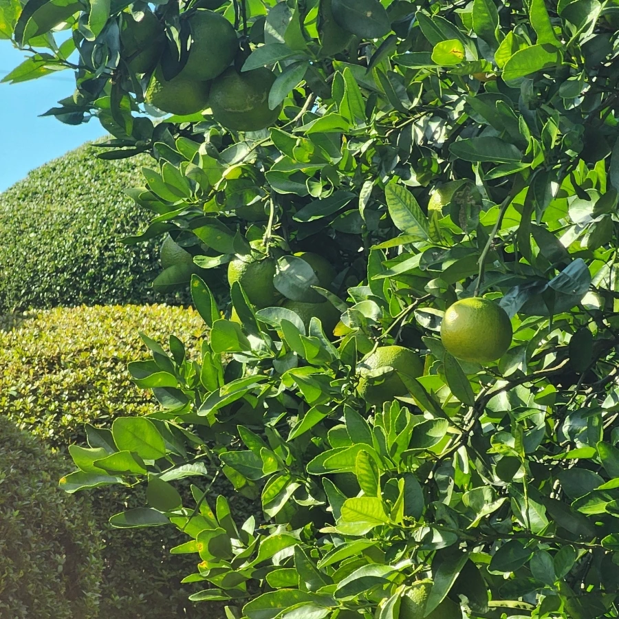 1731331300846.jpg?type=w966