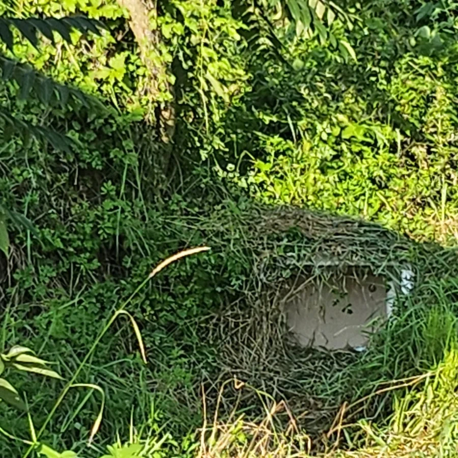 20240731%EF%BC%BF174351.jpg?type=w966