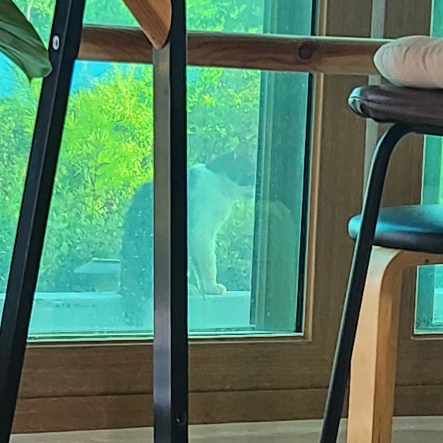 20240819%EF%BC%BF182747.jpg?type=w966