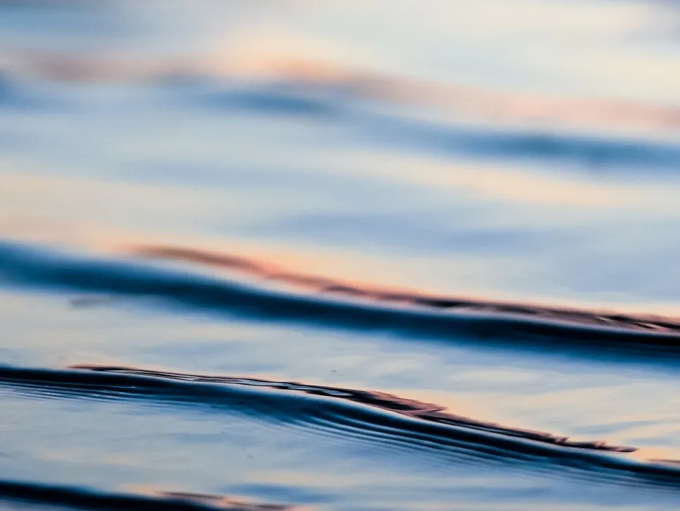 SE-c0cdebe7-1e57-4933-aa39-15f3ac7e82d1.jpg?type=w966