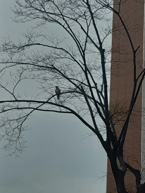 20231127%EF%BC%BF091736.jpg?type=w466