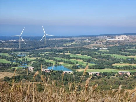 1731331439048.jpg?type=w466