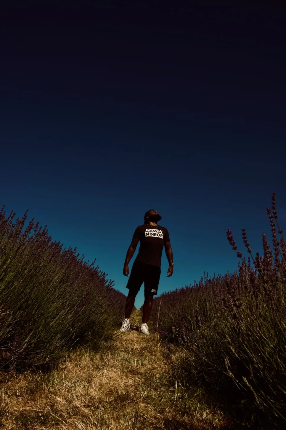 photo-1567709857329-678db848bf49.jpg?type=w966