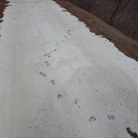 20240117%EF%BC%BF114006.jpg?type=w466