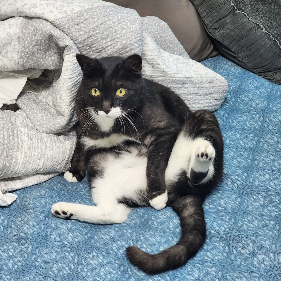 KakaoTalk_20240822_111757302_04.jpg?type=w966