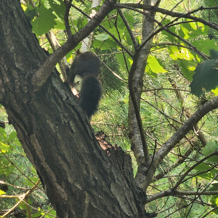 1724315885908.jpg?type=w966