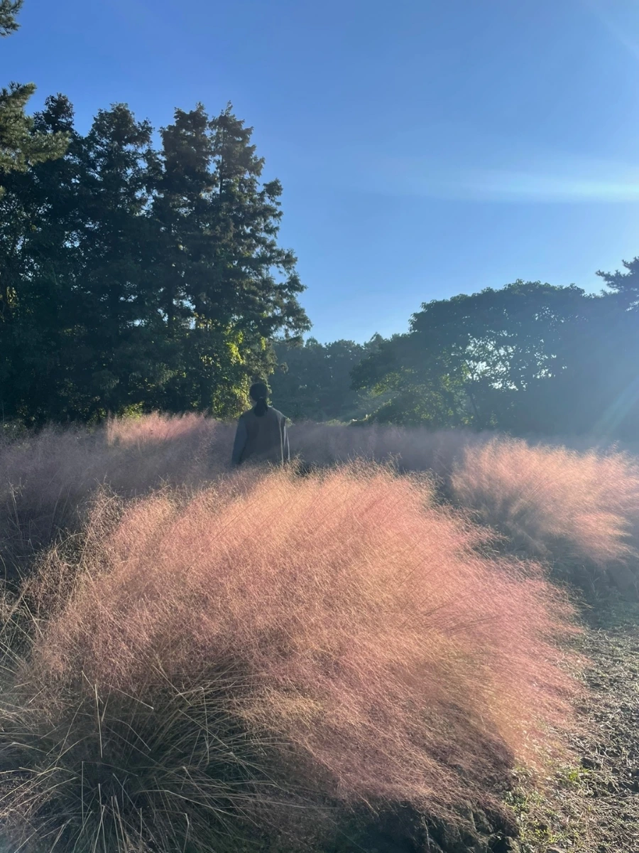 1731330499689.jpg?type=w966