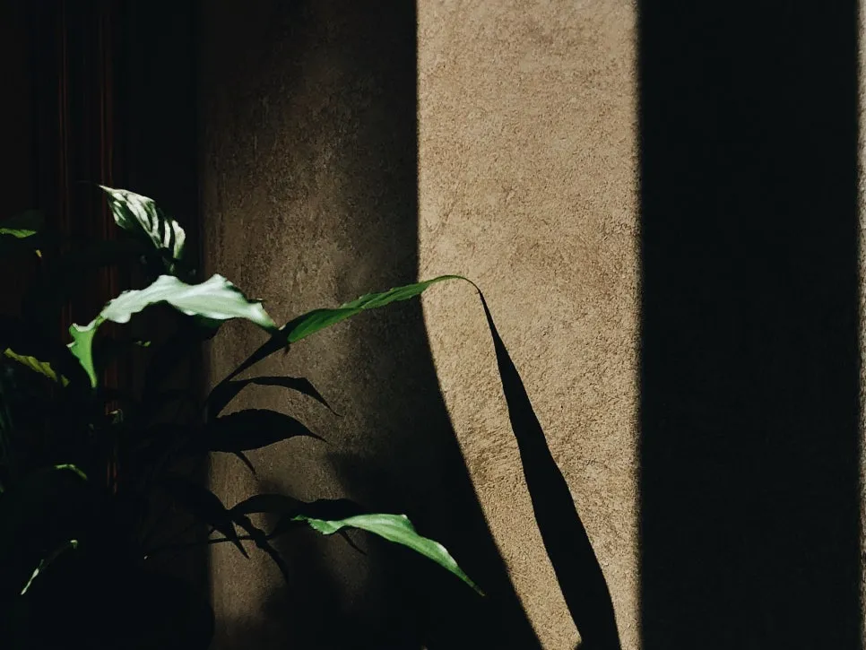 SE-40e76ffc-5e22-4c38-a680-5c773455ef0e.jpg?type=w966