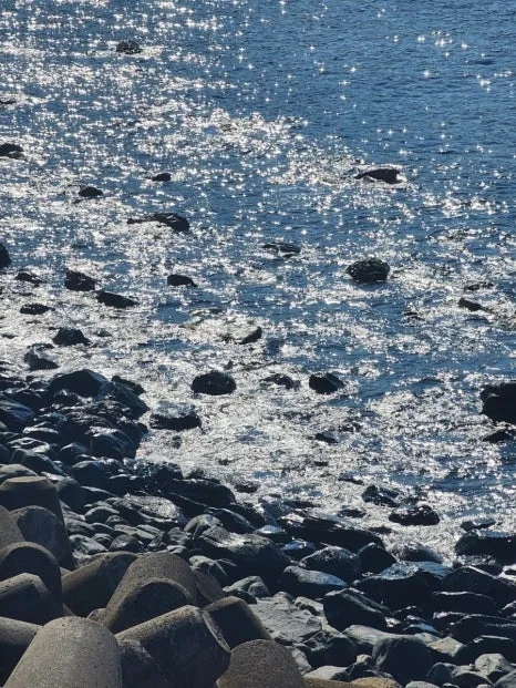 1731408888515.jpg?type=w466